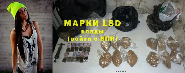 ГАЛЛЮЦИНОГЕННЫЕ ГРИБЫ Тайга