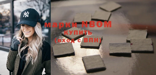 ГАЛЛЮЦИНОГЕННЫЕ ГРИБЫ Тайга
