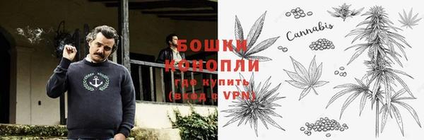 дурь Сясьстрой