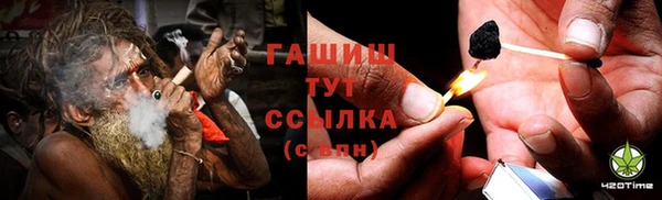 ГАЛЛЮЦИНОГЕННЫЕ ГРИБЫ Тайга
