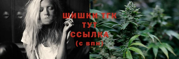 дурь Сясьстрой