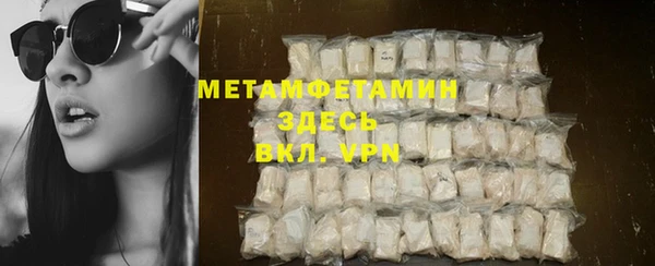 ГАЛЛЮЦИНОГЕННЫЕ ГРИБЫ Тайга