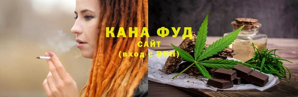 ГАЛЛЮЦИНОГЕННЫЕ ГРИБЫ Тайга