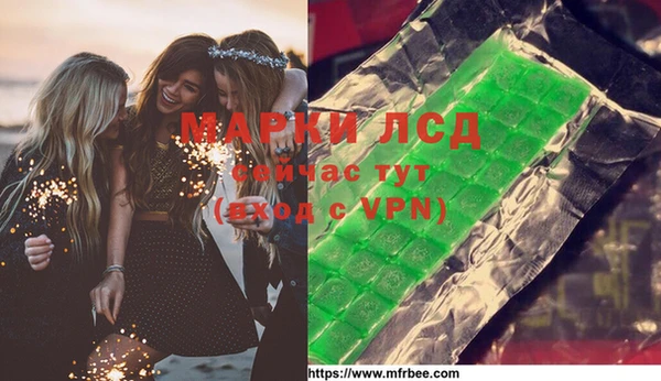 ГАЛЛЮЦИНОГЕННЫЕ ГРИБЫ Тайга