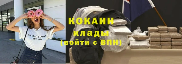 ГАЛЛЮЦИНОГЕННЫЕ ГРИБЫ Тайга