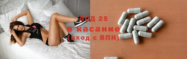 ГАЛЛЮЦИНОГЕННЫЕ ГРИБЫ Тайга