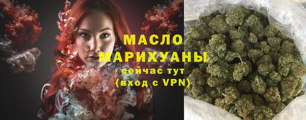 ГАЛЛЮЦИНОГЕННЫЕ ГРИБЫ Тайга