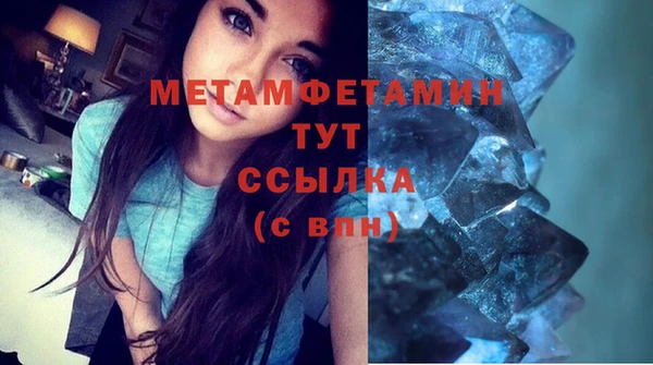 ГАЛЛЮЦИНОГЕННЫЕ ГРИБЫ Тайга