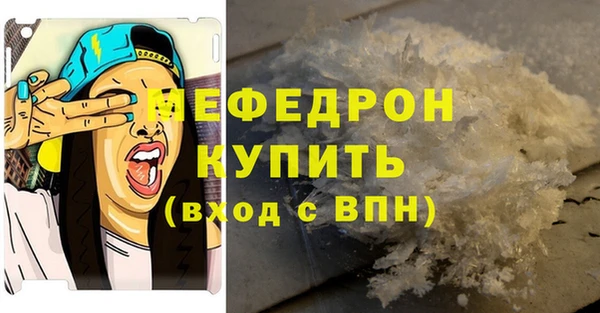 ГАЛЛЮЦИНОГЕННЫЕ ГРИБЫ Тайга