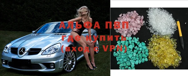 ГАЛЛЮЦИНОГЕННЫЕ ГРИБЫ Тайга