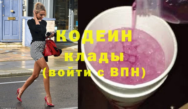 дурь Сясьстрой