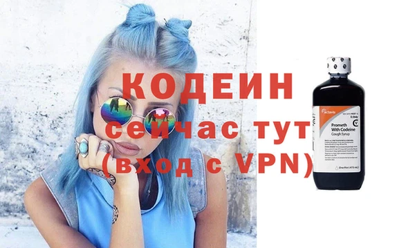 дурь Сясьстрой