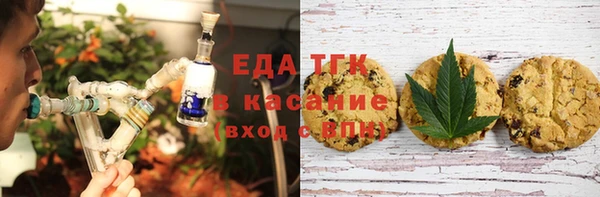 ГАЛЛЮЦИНОГЕННЫЕ ГРИБЫ Тайга