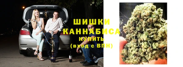 дурь Сясьстрой