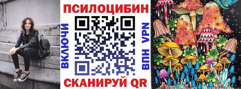 Галлюциногенные грибы Psilocybe  купить наркотики цена  Фёдоровский 
